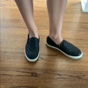 Steve Madden black Ecentrcq Sneaker